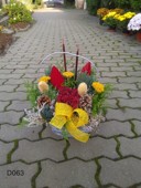 dusickovy kosicek